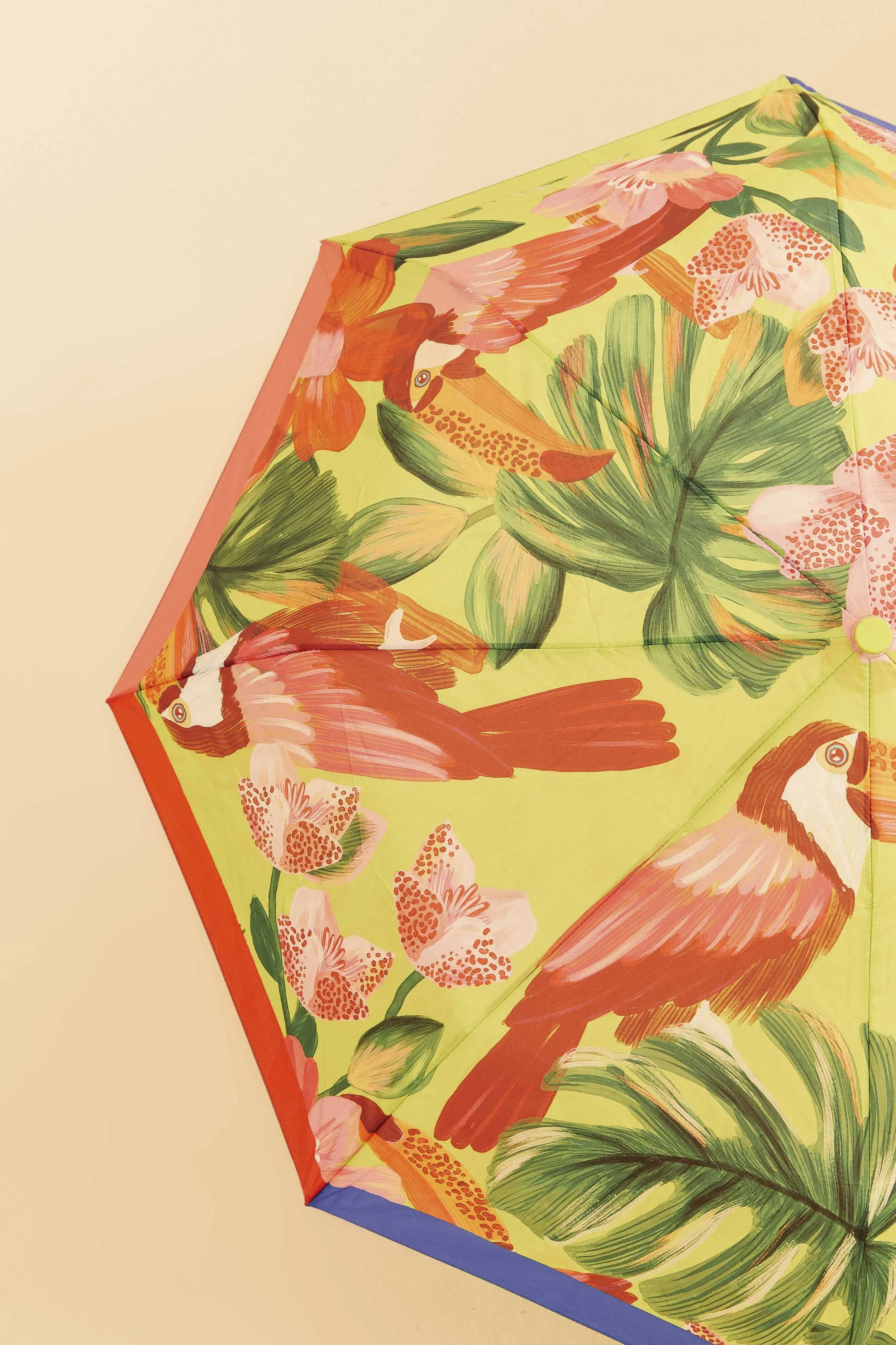 Color Blocking Umbrella